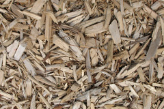 biomass boilers Timbrelham